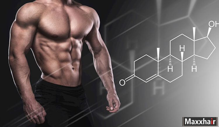 Testosterone quyết định đặc tính đàn ông, sức khỏe và sinh lý 