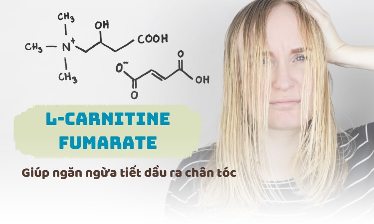 L-carnitine fumarate giúp ngăn ngừa tiết dầu ra chân tóc hiệu quả