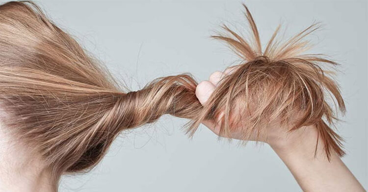 Các điều thú vị về cấu tạo của tóc bạn chưa biết