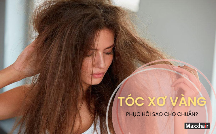Mái tóc xơ vàng, khô giòn là những vấn đề “nhức nhối” cần được giải quyết triệt để