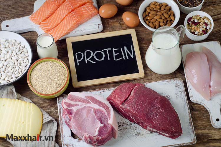 4. Protein 1