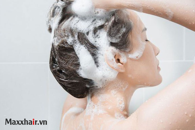 Rụng tóc nhiều: Nguyên nhân và cách trị cho nam, nữ, phụ nữ sau sinh