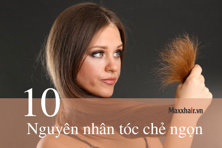 Tổng hợp 10 nguyên nhân tóc chẻ ngọn 1