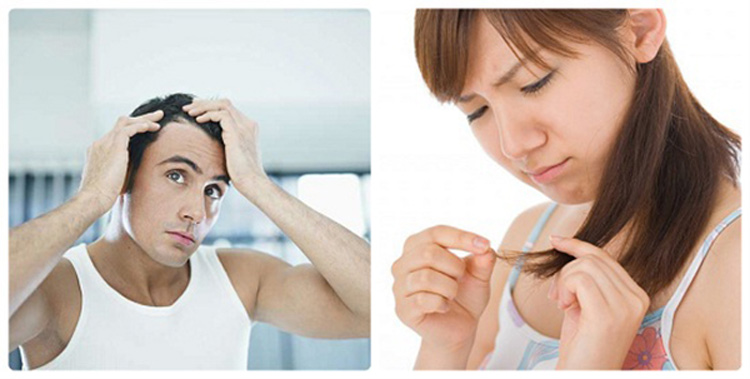 Tốc độ mọc tóc ở nam thường nhanh hơn nữ